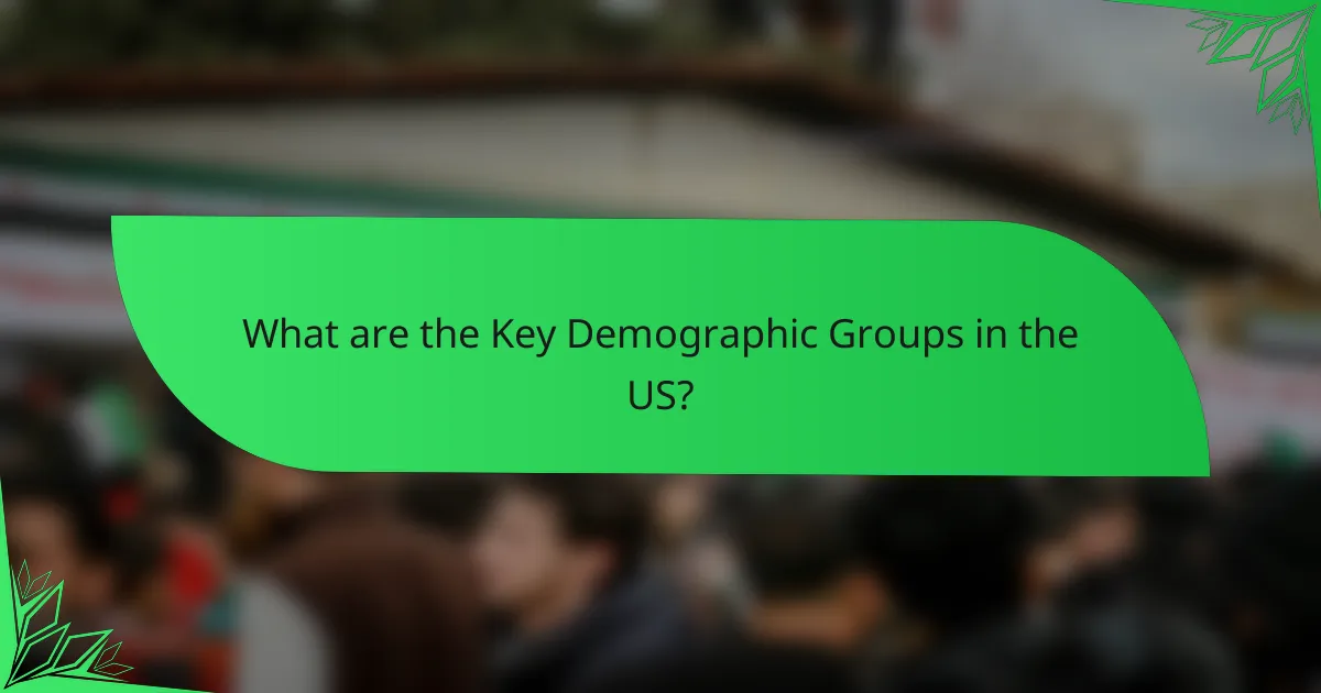 What are the Key Demographic Groups in the US?